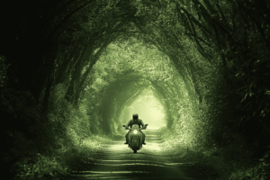 man rijdend op een motor door een magisch bos